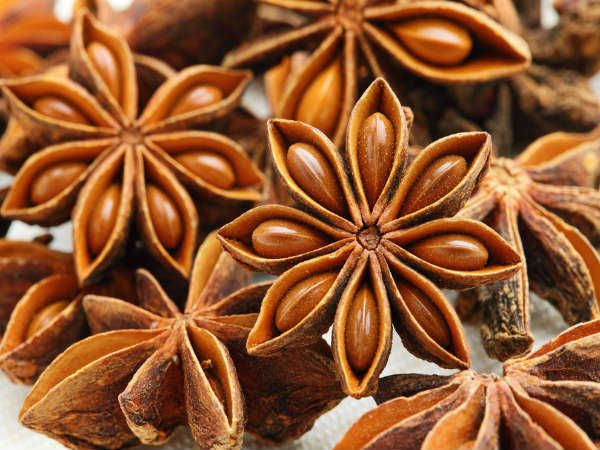 Illicium verum