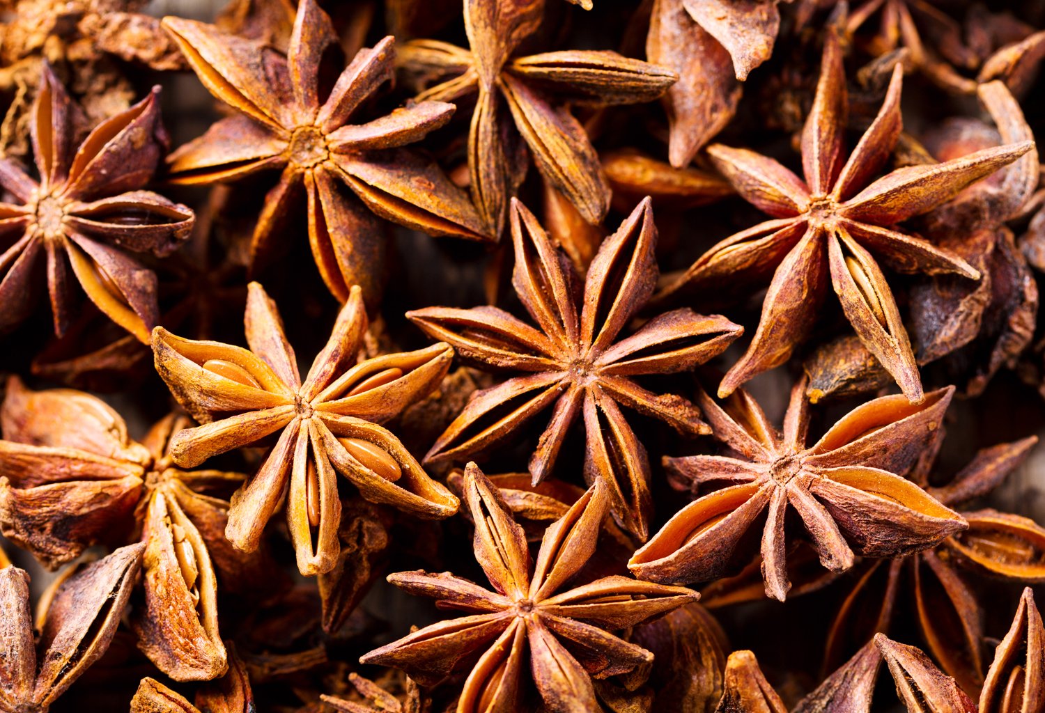 Illicium verum