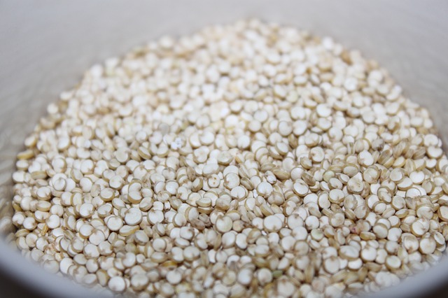 Chenopodium quinoa Willd.