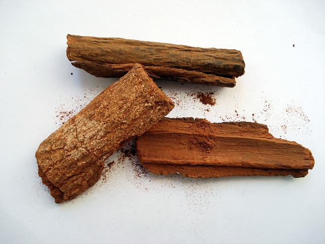 Cinchona officinalis