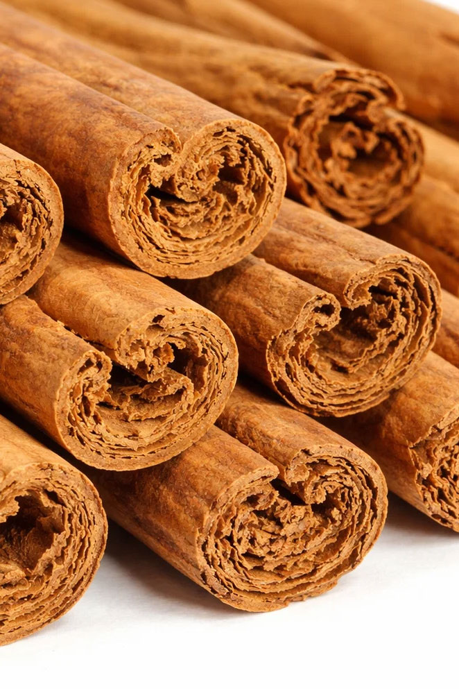 Cinnamomum verum