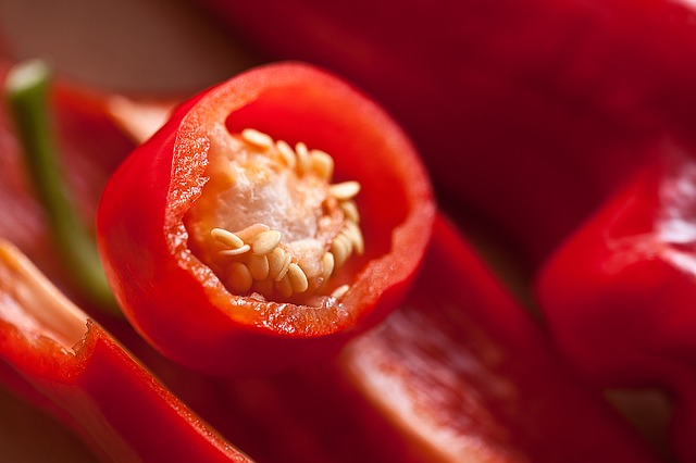 Capsicum annuum