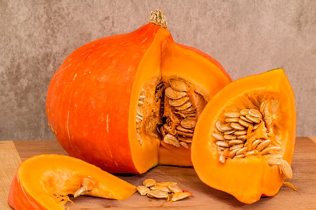 Cucurbita pepo