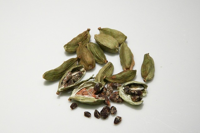 Elettaria cardamomum
