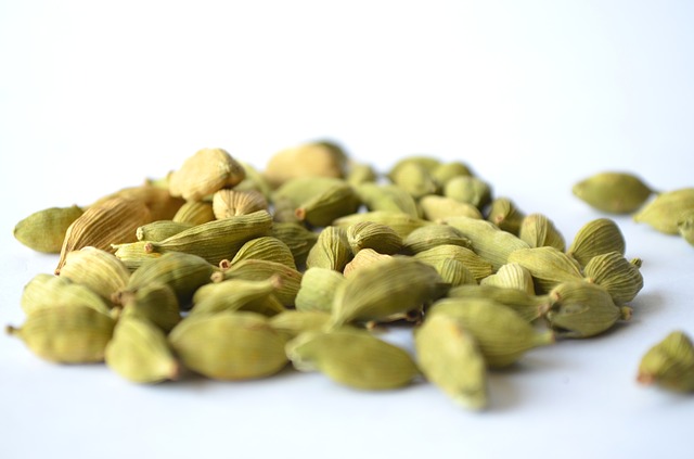 Elettaria cardamomum