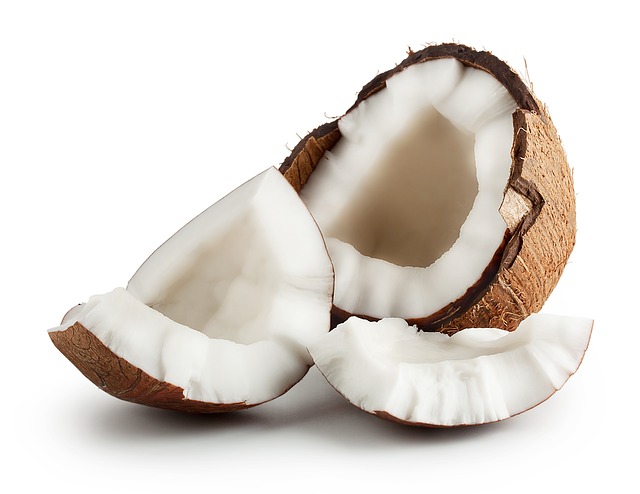 Cocos nucifera