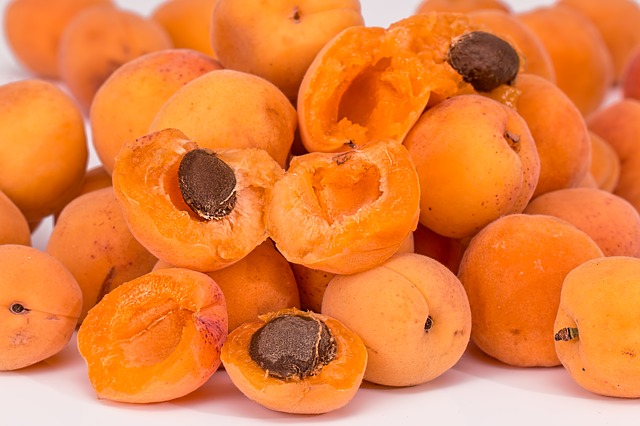 Prunus armeniaca