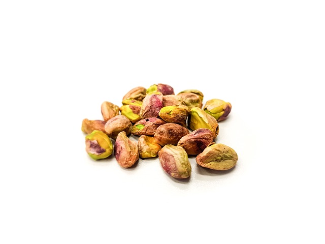 Pistacia vera