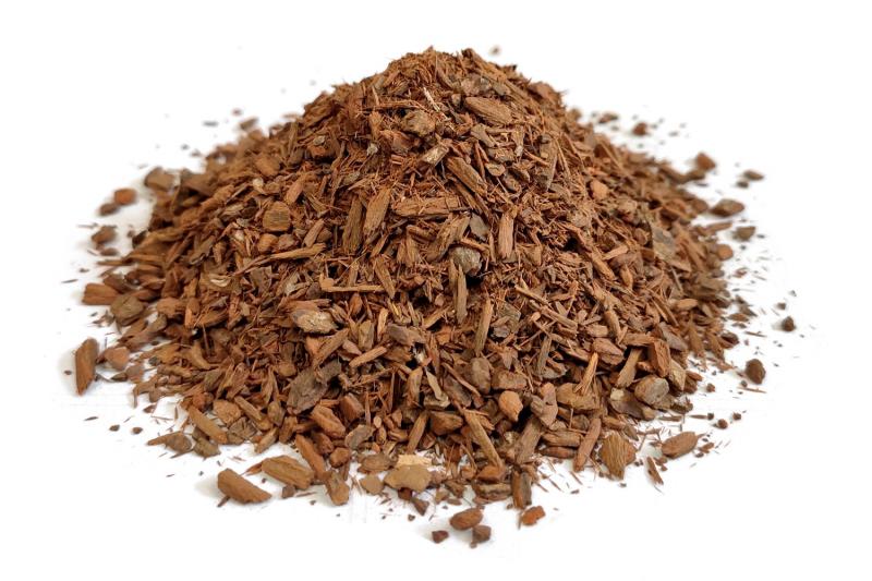 Chinowiec