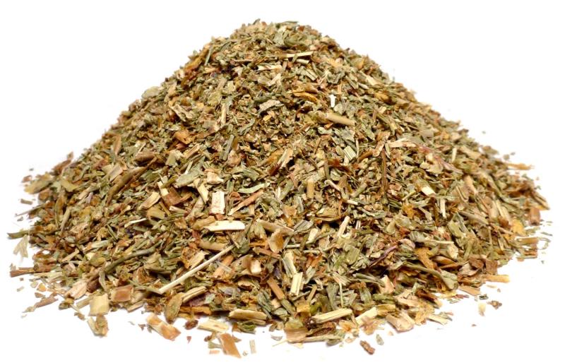 Echinacea